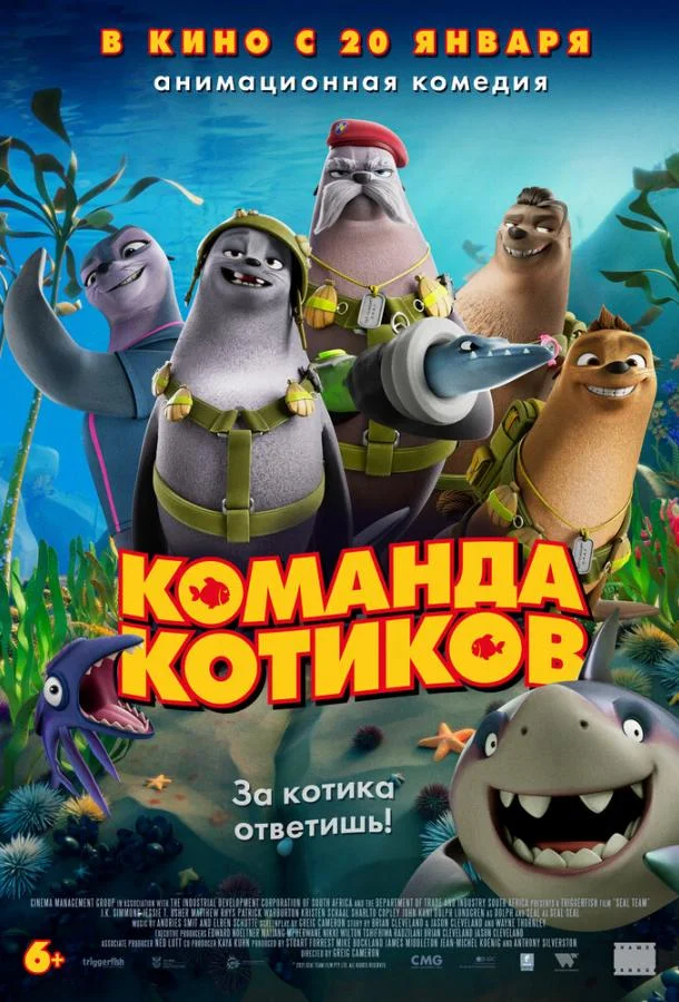 Постер — Команда котиков