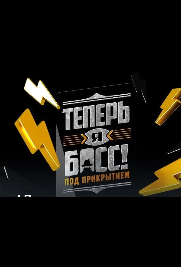 Постер — Теперь я босс под прикрытием