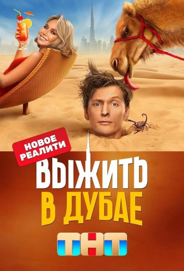Постер — Выжить в Дубае