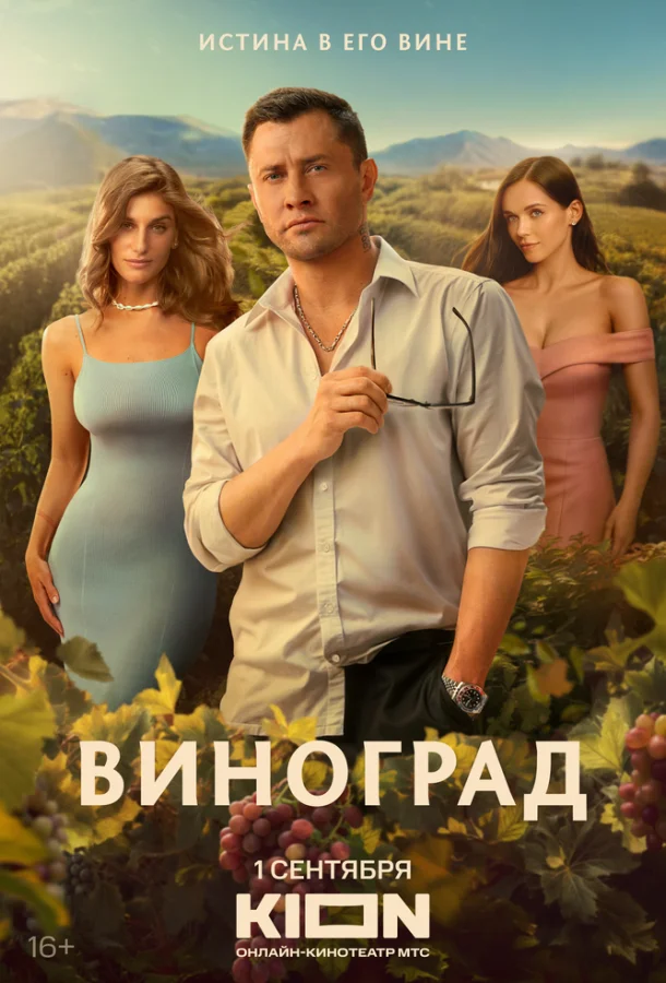 Постер — Виноград