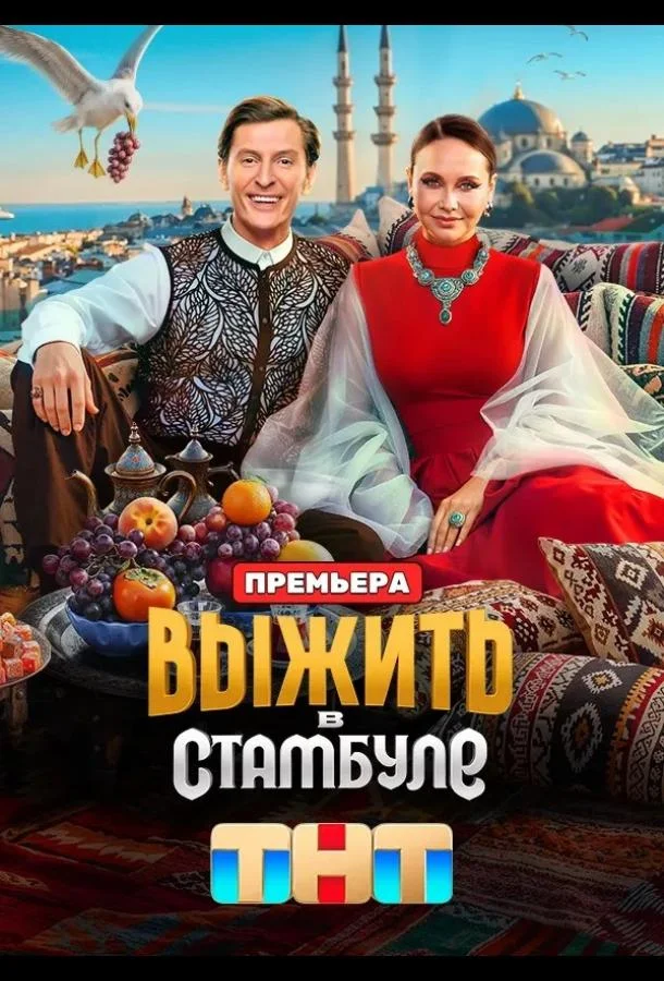 Постер — Выжить в Стамбуле