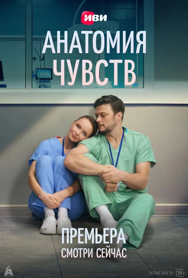 Постер — Анатомия чувств